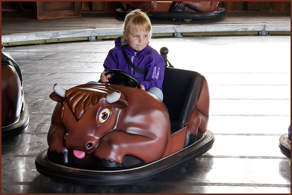IMGP0828.jpg - UGE 20 : Stor koncentration, Mini Buffalo Bumper Cars i Djurs Sommerland.