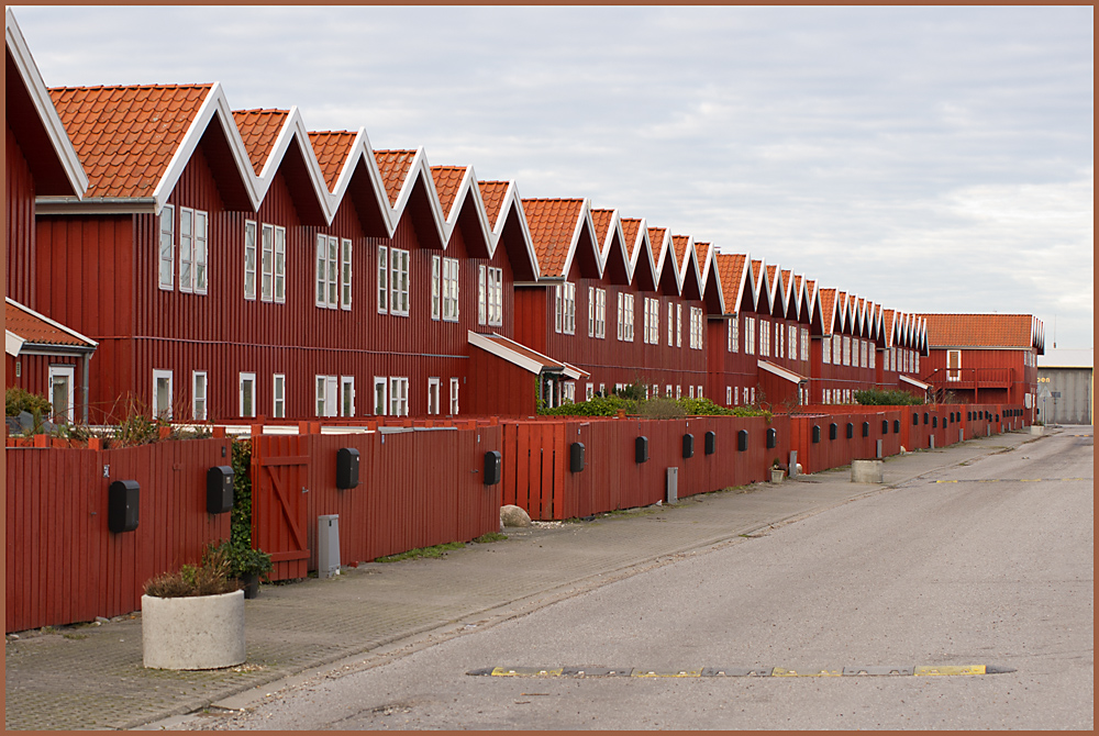 IMGP8538.jpg - UGE 2 : "Skudehusene" fra bagsiden.